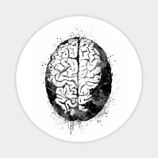 Human Brain Anatomy Black and White Magnet